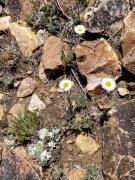 Baldwin-Lake-Ecological-Reserve-21