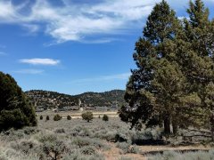 Baldwin-Lake-Ecological-Reserve-34