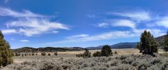 Baldwin-Lake-Ecological-Reserve-35