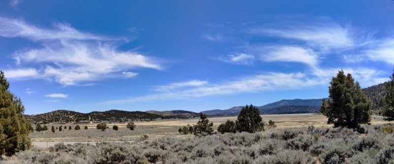 Baldwin-Lake-Ecological-Reserve-35