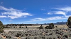 Baldwin-Lake-Ecological-Reserve-36