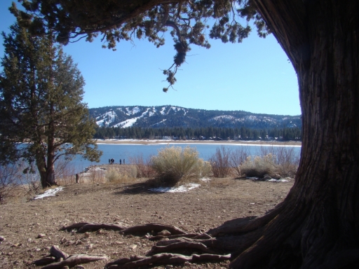 Big-Bear-Snow-2018-16