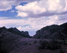 Big Bend National park