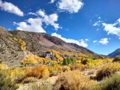 Fall-Color-In-Bishop-Creek-Canyon-Near-Bishop-CA-01