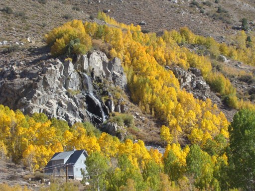 Fall-Color-In-Bishop-Creek-Canyon-Near-Bishop-CA-03