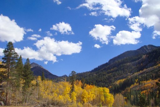 Fall-Color-In-Bishop-Creek-Canyon-Near-Bishop-CA-12