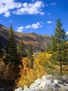Fall-Color-In-Bishop-Creek-Canyon-Near-Bishop-CA-13