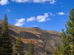 Fall-Color-In-Bishop-Creek-Canyon-Near-Bishop-CA-14