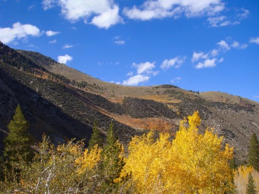 Fall-Color-In-Bishop-Creek-Canyon-Near-Bishop-CA-15