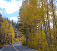 Fall-Color-In-Bishop-Creek-Canyon-Near-Bishop-CA-17