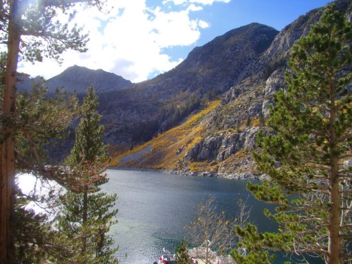 Fall-Color-In-Bishop-Creek-Canyon-Near-Bishop-CA-20