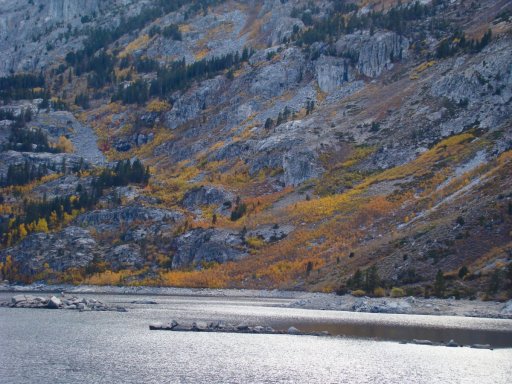 Fall-Color-In-Bishop-Creek-Canyon-Near-Bishop-CA-39
