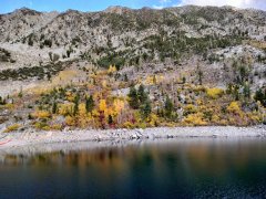 Fall-Color-In-Bishop-Creek-Canyon-Near-Bishop-CA-41