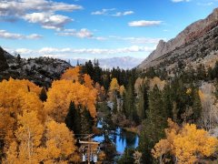 Fall-Color-In-Bishop-Creek-Canyon-Near-Bishop-CA-42