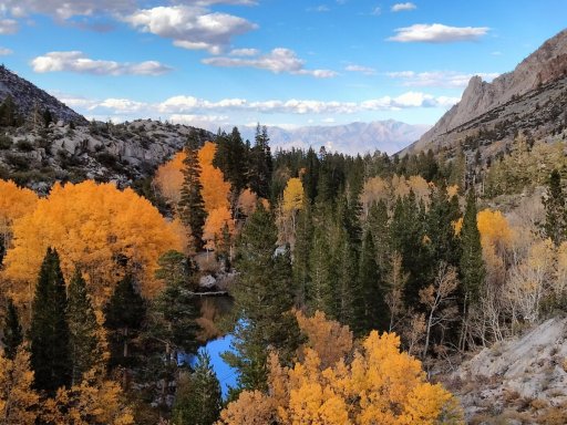 Fall-Color-In-Bishop-Creek-Canyon-Near-Bishop-CA-43