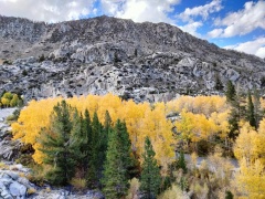 Fall-Color-In-Bishop-Creek-Canyon-Near-Bishop-CA-44
