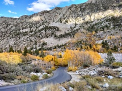 Fall-Color-In-Bishop-Creek-Canyon-Near-Bishop-CA-45