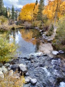 Fall-Color-In-Bishop-Creek-Canyon-Near-Bishop-CA-46