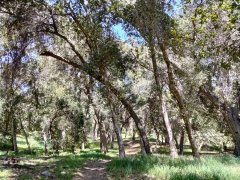 Bogart-Park-Noble-Creek-Hike-01