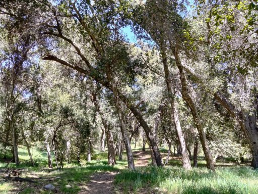 Bogart-Park-Noble-Creek-Hike-01