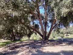 Bogart-Park-Noble-Creek-Hike-02