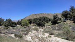 Bogart-Park-Noble-Creek-Hike-03
