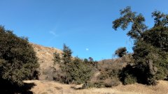 Bogart-Park-Noble-Creek-Hike-05