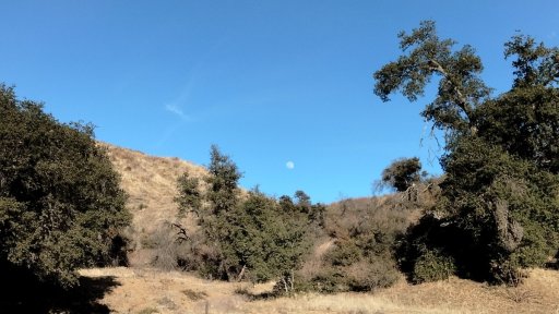 Bogart-Park-Noble-Creek-Hike-05