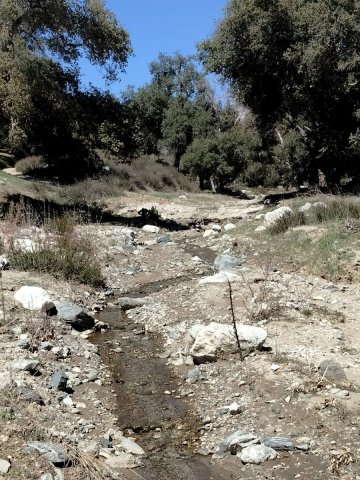 Bogart-Park-Noble-Creek-Hike-06