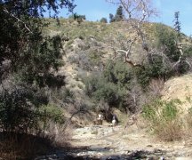 Bogart-Park-Noble-Creek-Hike-07