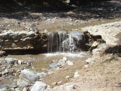 Bogart-Park-Noble-Creek-Hike-08