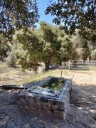 Bogart-Park-Noble-Creek-Hike-10