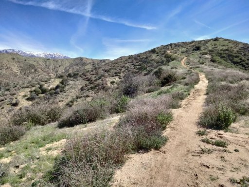 Bogart-Park-Ridge-Trail-Hike-01