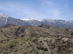 Bogart-Park-Ridge-Trail-Hike-02