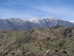 Bogart-Park-Ridge-Trail-Hike-03
