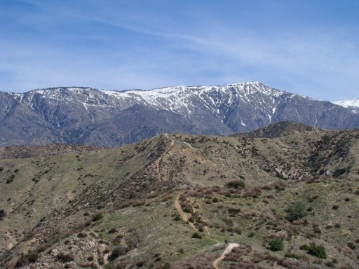 Bogart-Park-Ridge-Trail-Hike-03