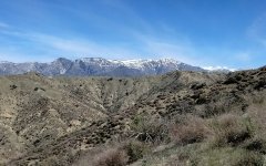 Bogart-Park-Ridge-Trail-Hike-05