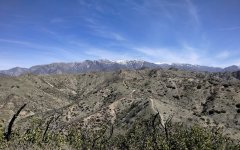 Bogart-Park-Ridge-Trail-Hike-08