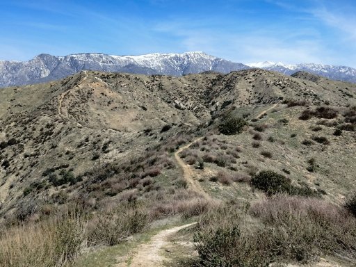 Bogart-Park-Ridge-Trail-Hike-09