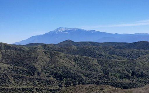 Bogart-Park-Ridge-Trail-Hike-10