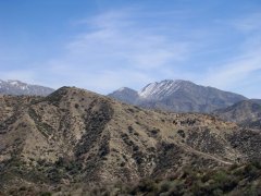 Bogart-Park-Ridge-Trail-Hike-12