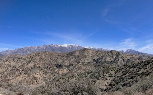 Bogart-Park-Ridge-Trail-Hike-16