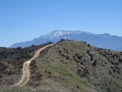 Bogart-Park-Ridge-Trail-Hike-20