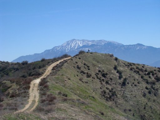 Bogart-Park-Ridge-Trail-Hike-20