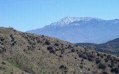 Bogart-Park-Ridge-Trail-Hike-23