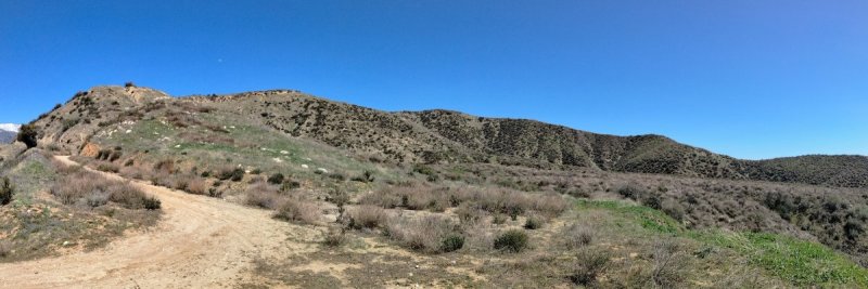 Bogart-Park-Ridge-Trail-Hike-24