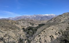 Bogart-Park-Ridge-Trail-Hike-26