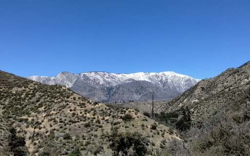 Bogart-Park-Ridge-Trail-Hike-27