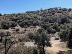 Bogart-Park-Scenic-Hill-Hike-09