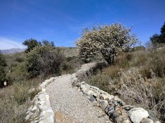 Bogart-Park-Scenic-Hill-Hike-10